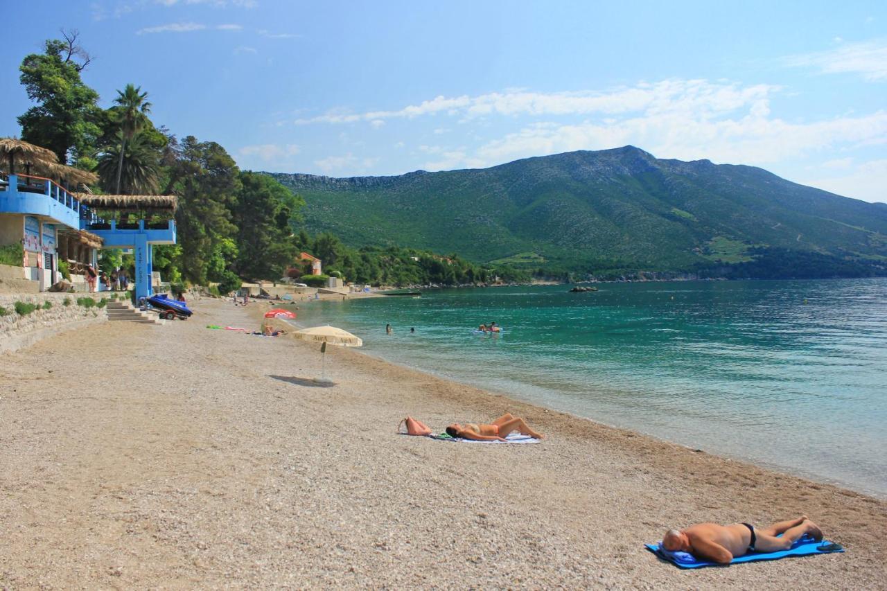 Apartments And Rooms With Parking Space Orebic, Peljesac - 10192 Bagian luar foto